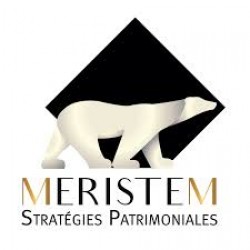 MERISTEM